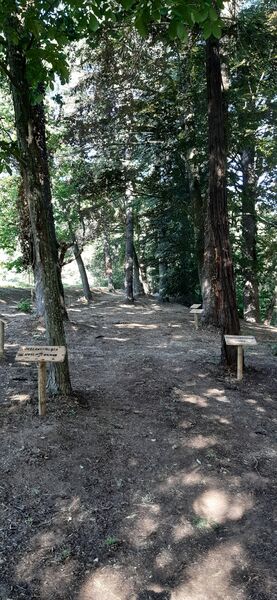 Arboretum de Collobrières