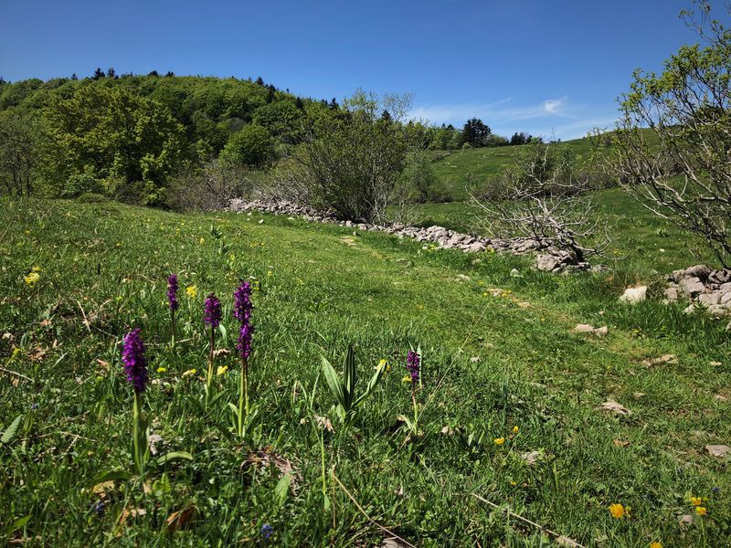 Randonnée des Scioux sur le Grand Colombier