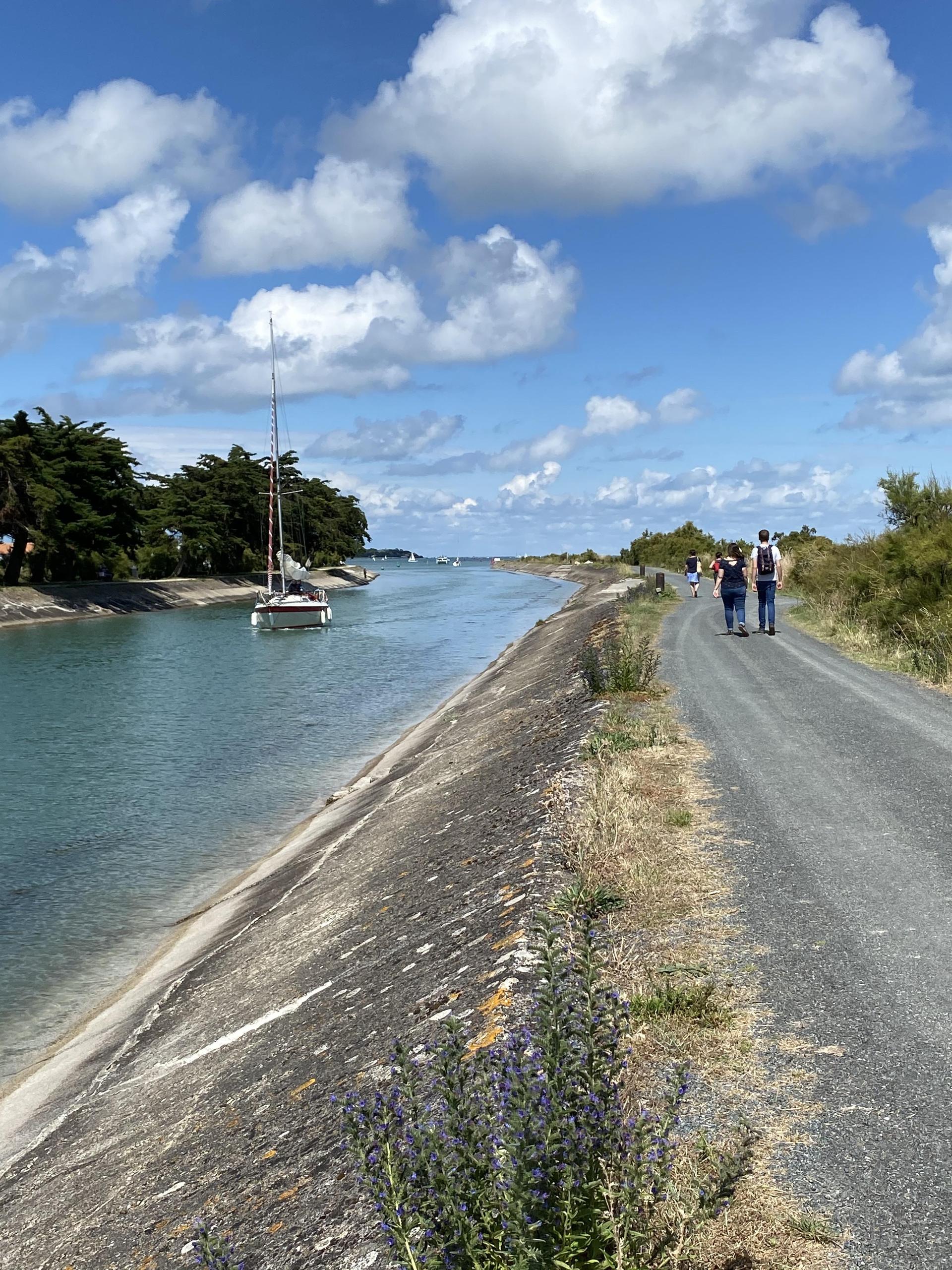 Balade accessible à Ars-en-Ré