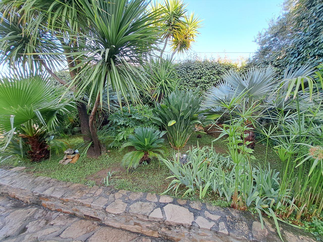 Le Soleil Levant, La Ciotat - photo 4