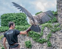 Balade artistique et musicale - Festival Baroque en Forez_Marcilly-le-Châtel