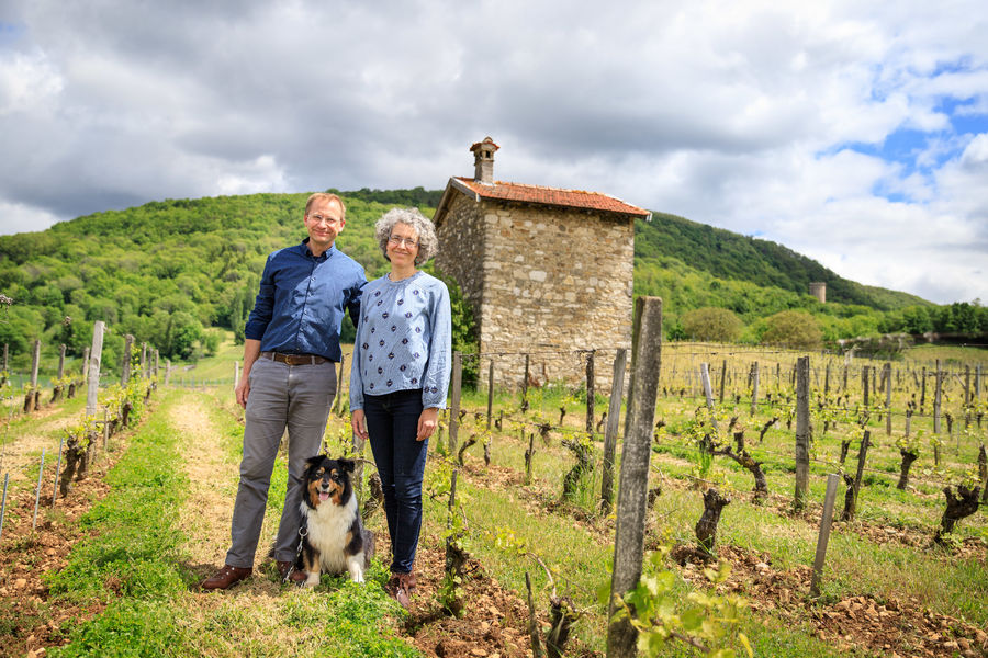 Devant le grangeon de Louillon