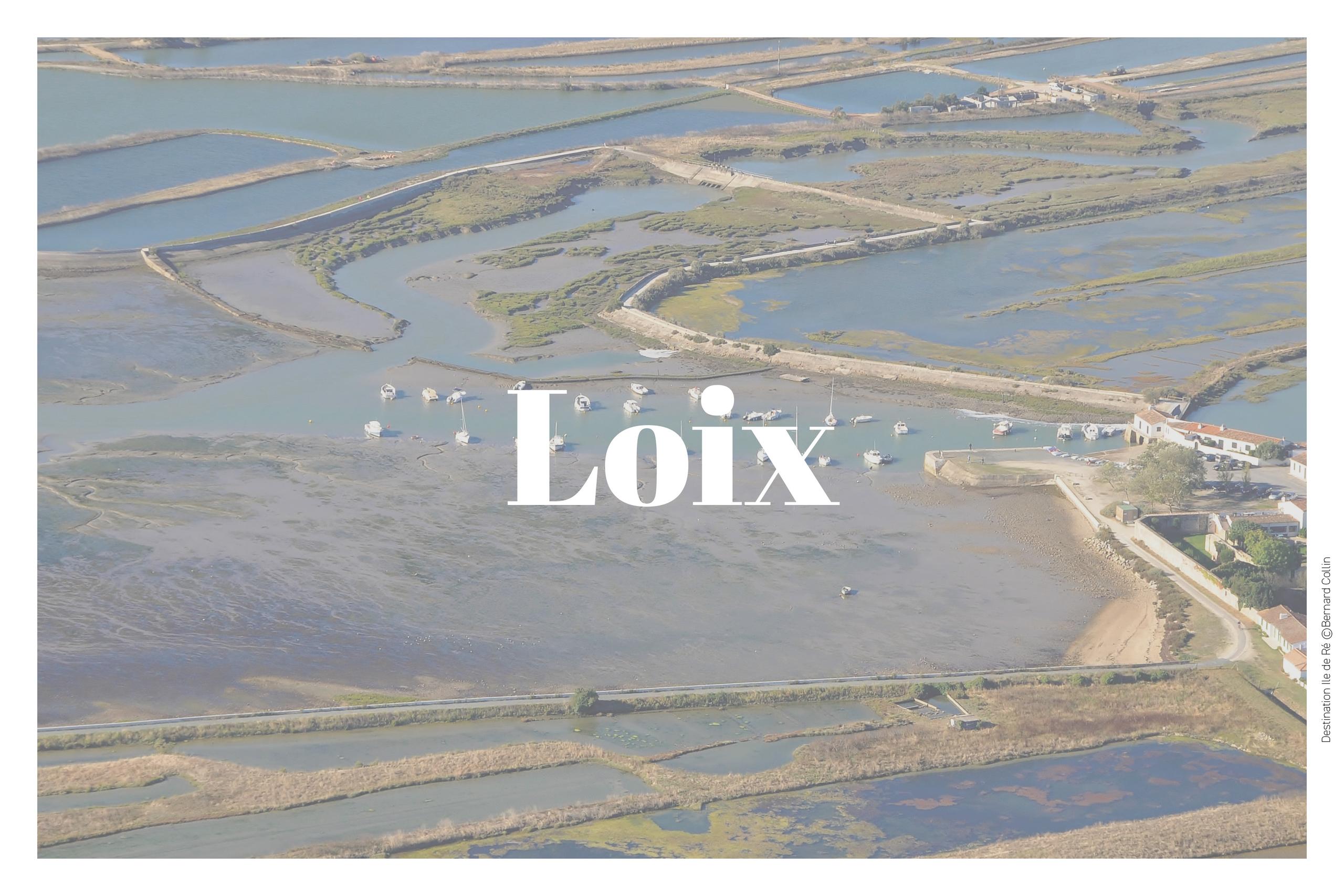 Le repas village - Soirée rock'n moules à Loix