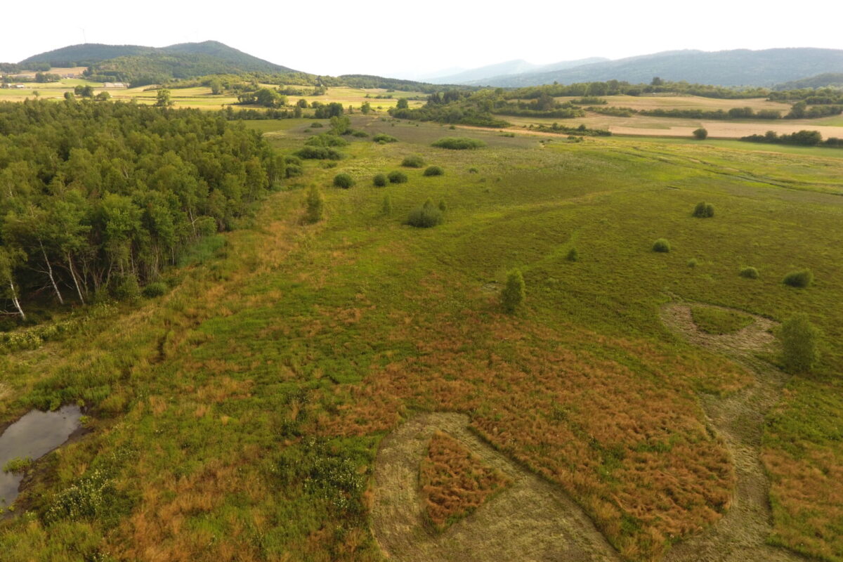 Visite guidée du marais en Jarine_Aranc