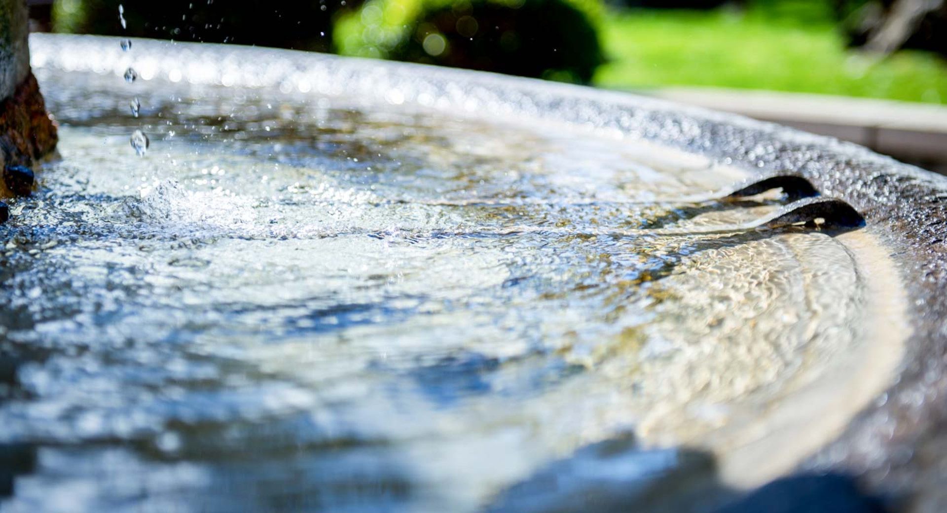 Fontaine Tournamy Mougins