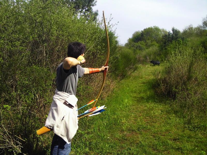 Chasse a l arc : 210p 13.3 x 20.3 | Tir a l