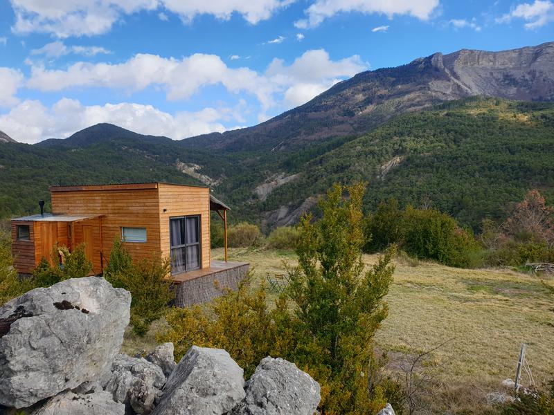 La tiny de Plantago_Cornillac