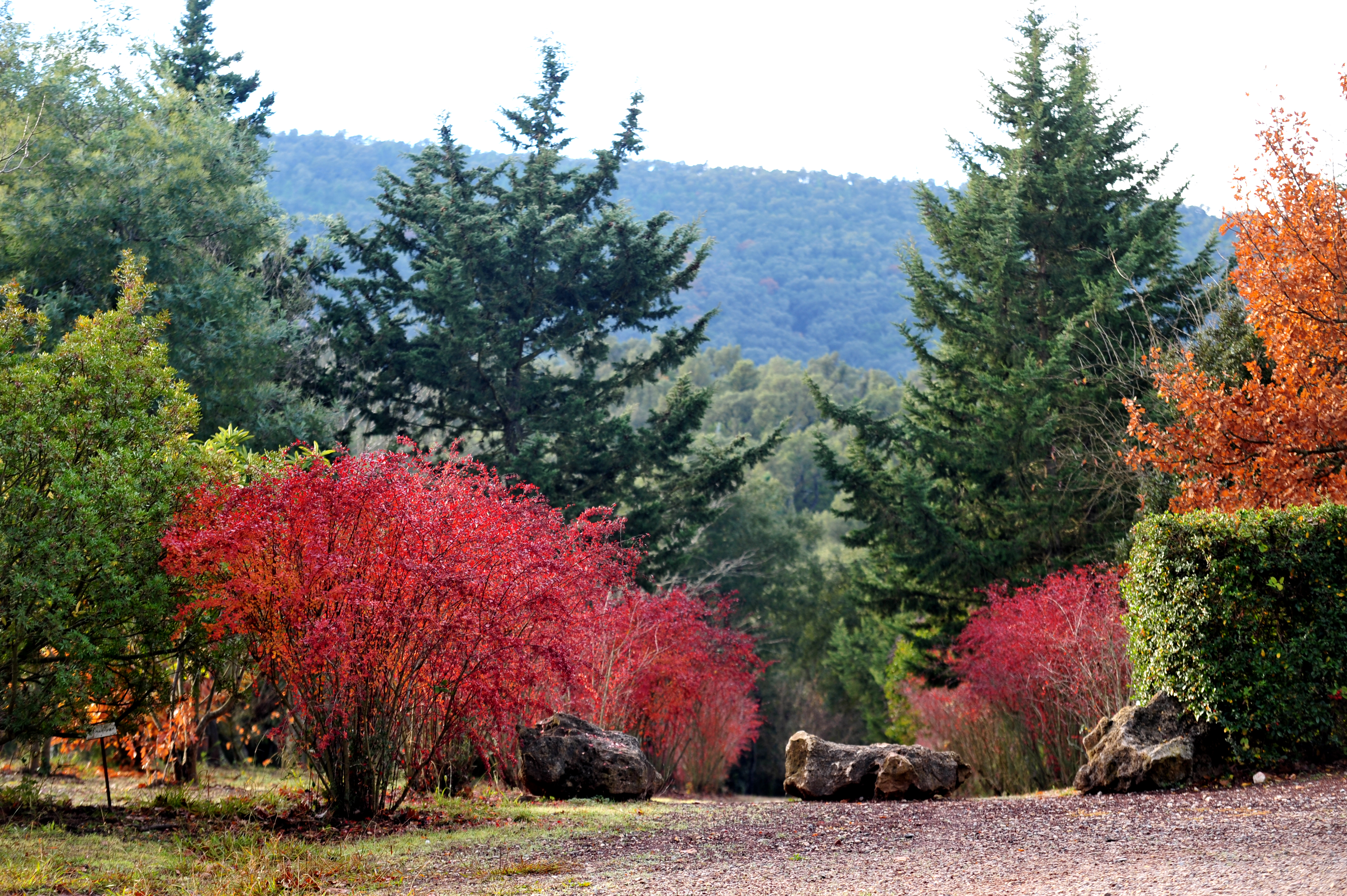 Arboretum de Pierrefeu-du-Var