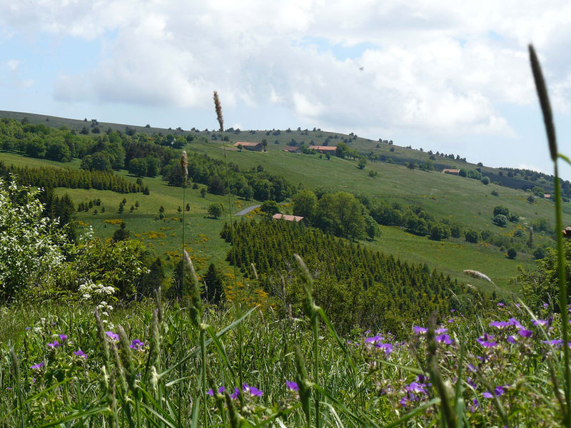 Les Hautes-Chaumes