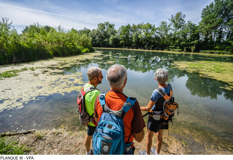 rando sur les rives du Rhône Châteauneuf du Pape