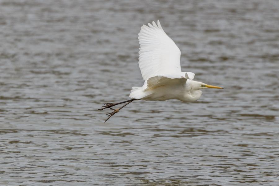 L'Escampette : la grande boucle_Trévoux