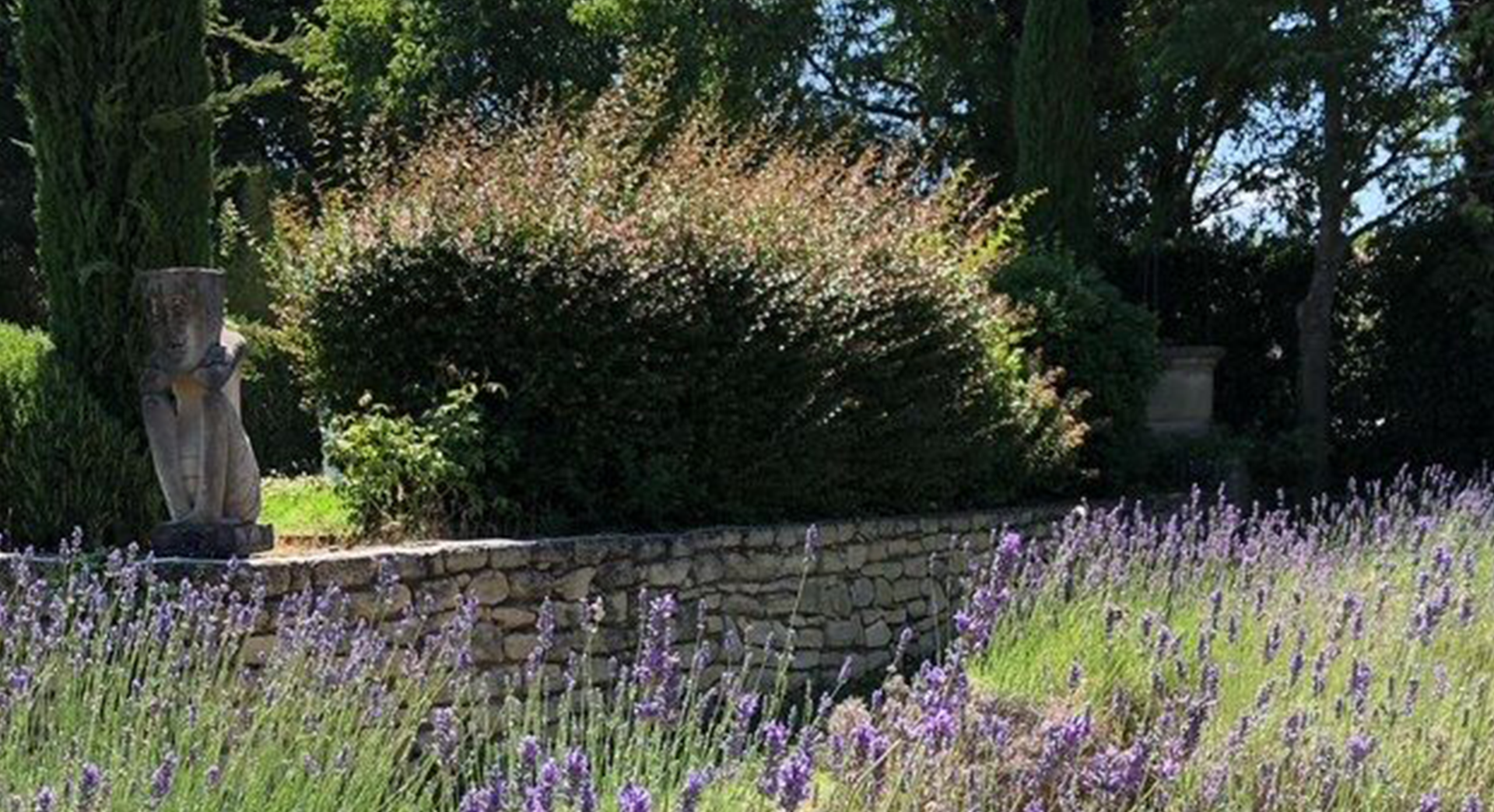 Le Mas des Carassins - photo 4