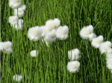 La biodiversité en Clarée, rencontre et échanges au refuge de Laval avec l'écogarde Natura 2000
