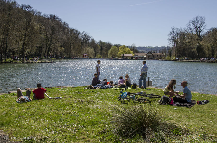 Balade en calèches en CAPI