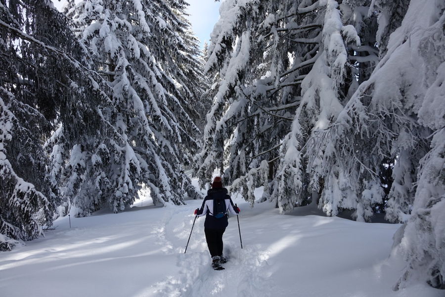 Randonnée raquettes au plateau d'Agy