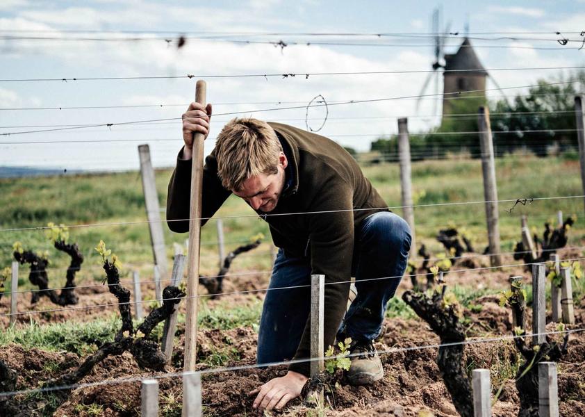 Brice Laffond dans le Clos de Londres