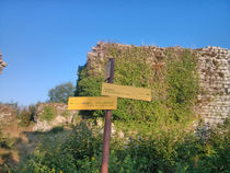 Ruines du Château-Neuf, dites tours de César