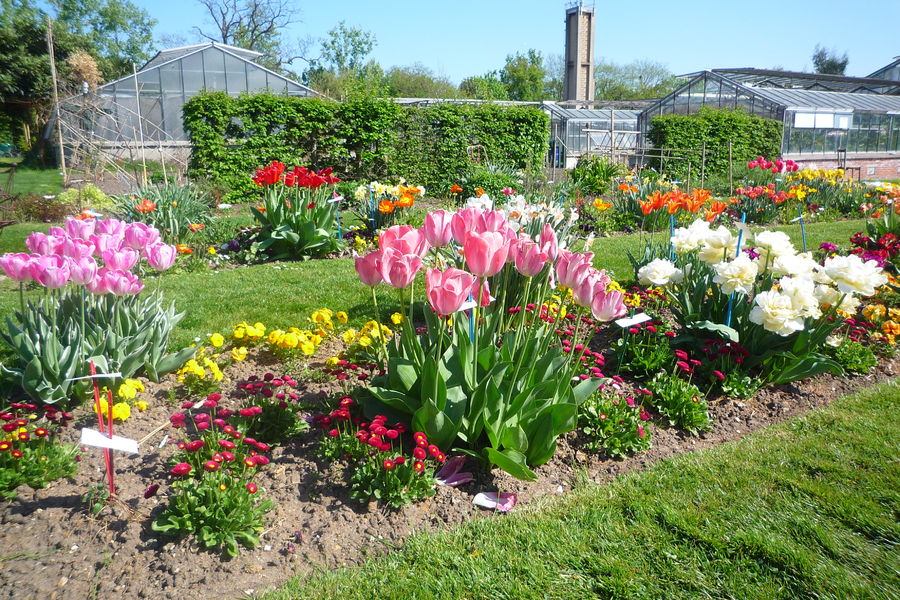 Un parterre de l'Ecole du Breuil 