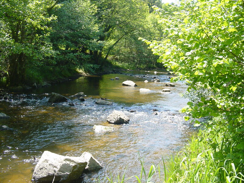 Gorges du Chavanon