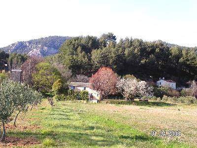 Le Tilleul  France Provence-Alpes-Côte d'Azur Bouches-du-Rhône Auriol 13390