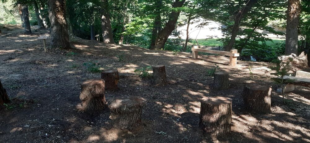 Arboretum de Collobrières