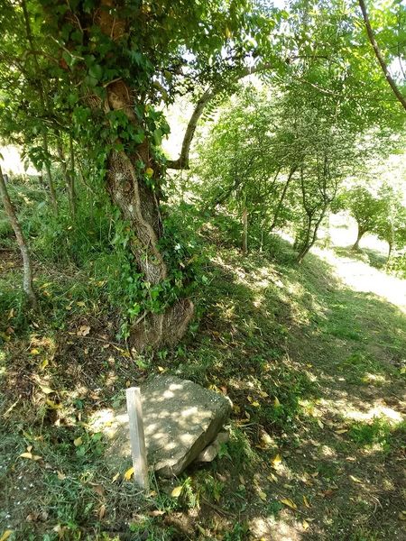 Terre des Vents d\'Ames