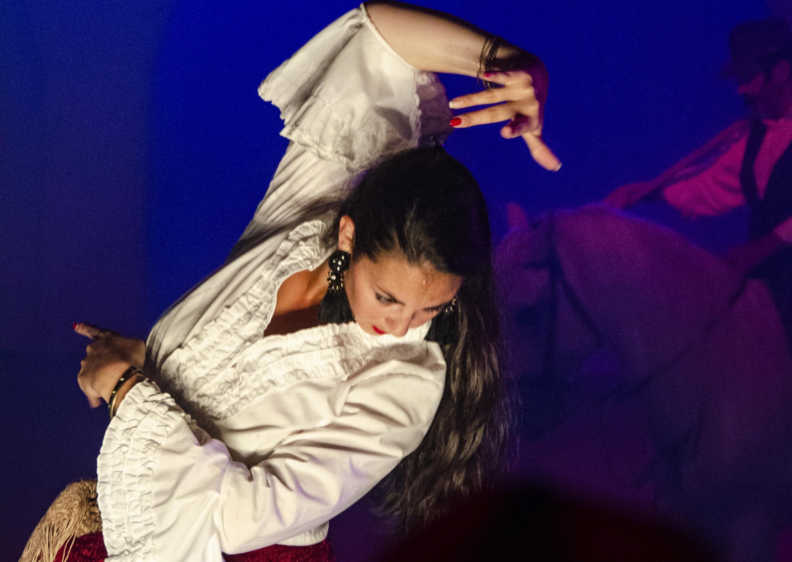 Spectacle Equestre & Flamenco