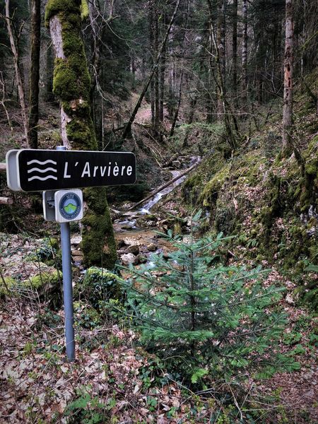Rivière Arvière - Massif du Grand Colombier