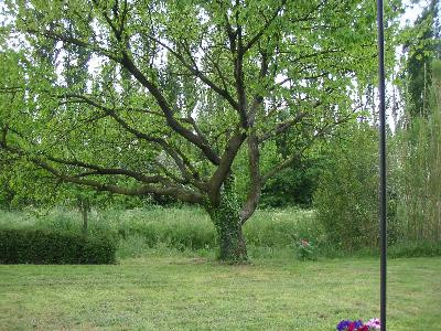 Le Levant, Mollégès - photo 2