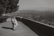 Marielle Laubie – Photographe - La Palud-sur-Verdon - Photo 7