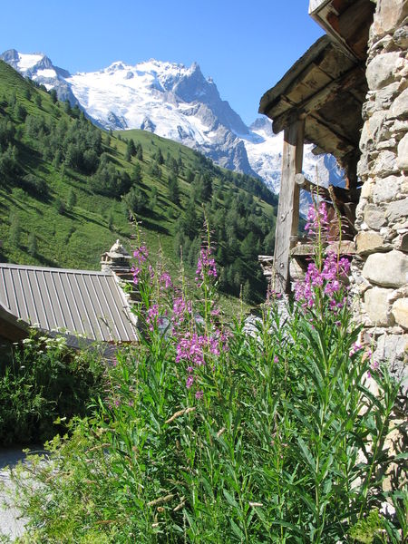 La Meije vu de Valfroide