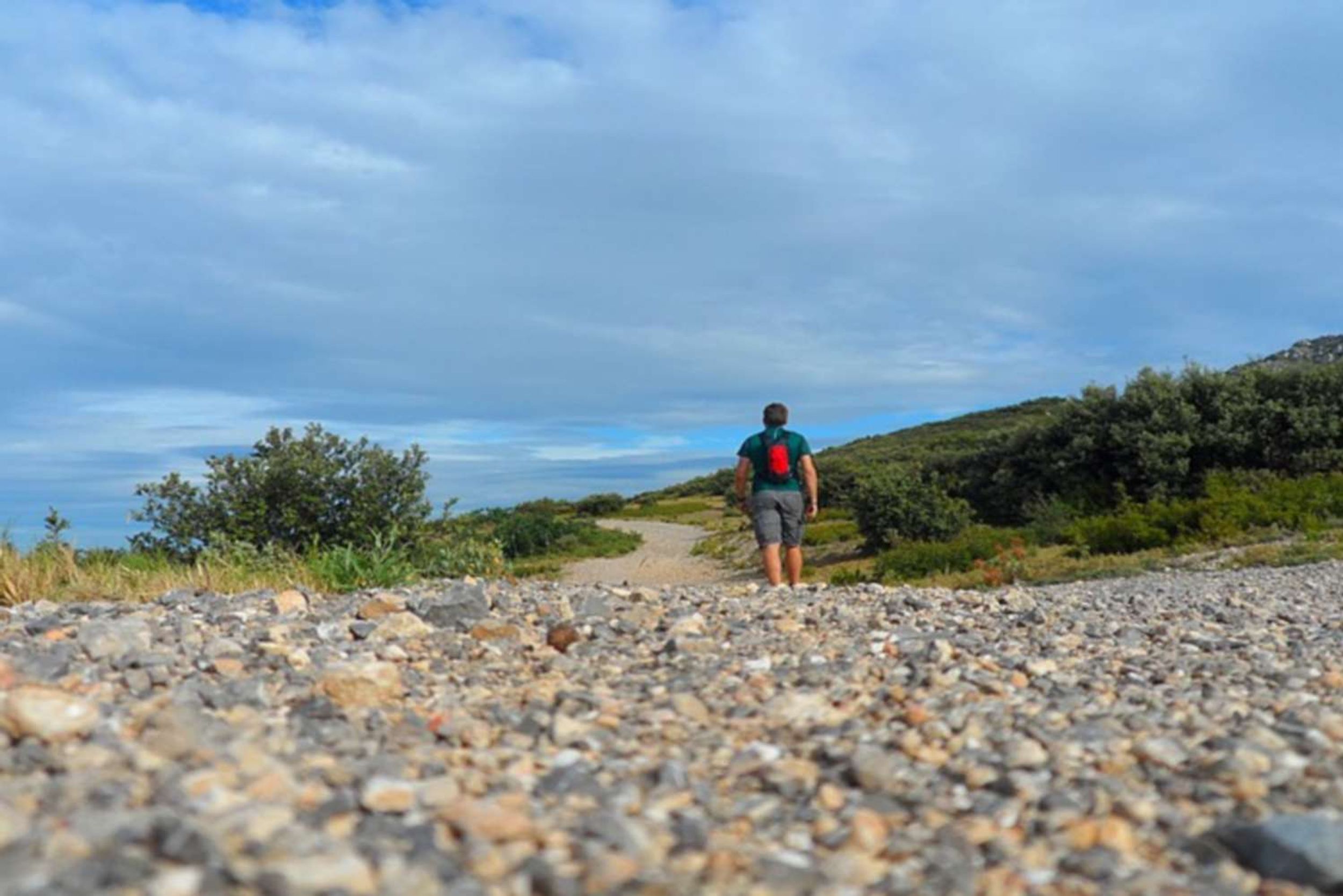 AUREILLE - Un festival d'oiseaux méditerranéens