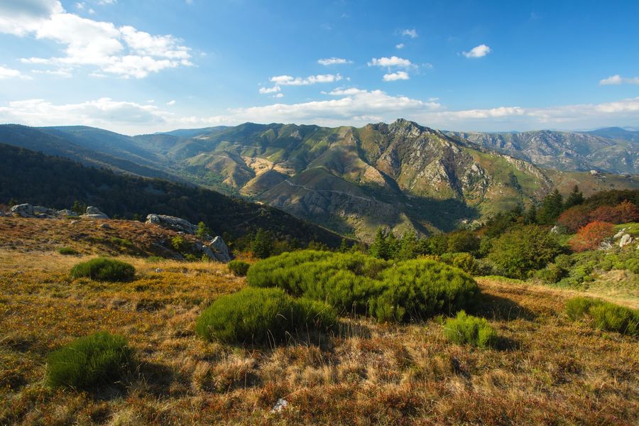 La Souche - Massif du Tanargue - Vallée du Lignon ©S.BUGNON
