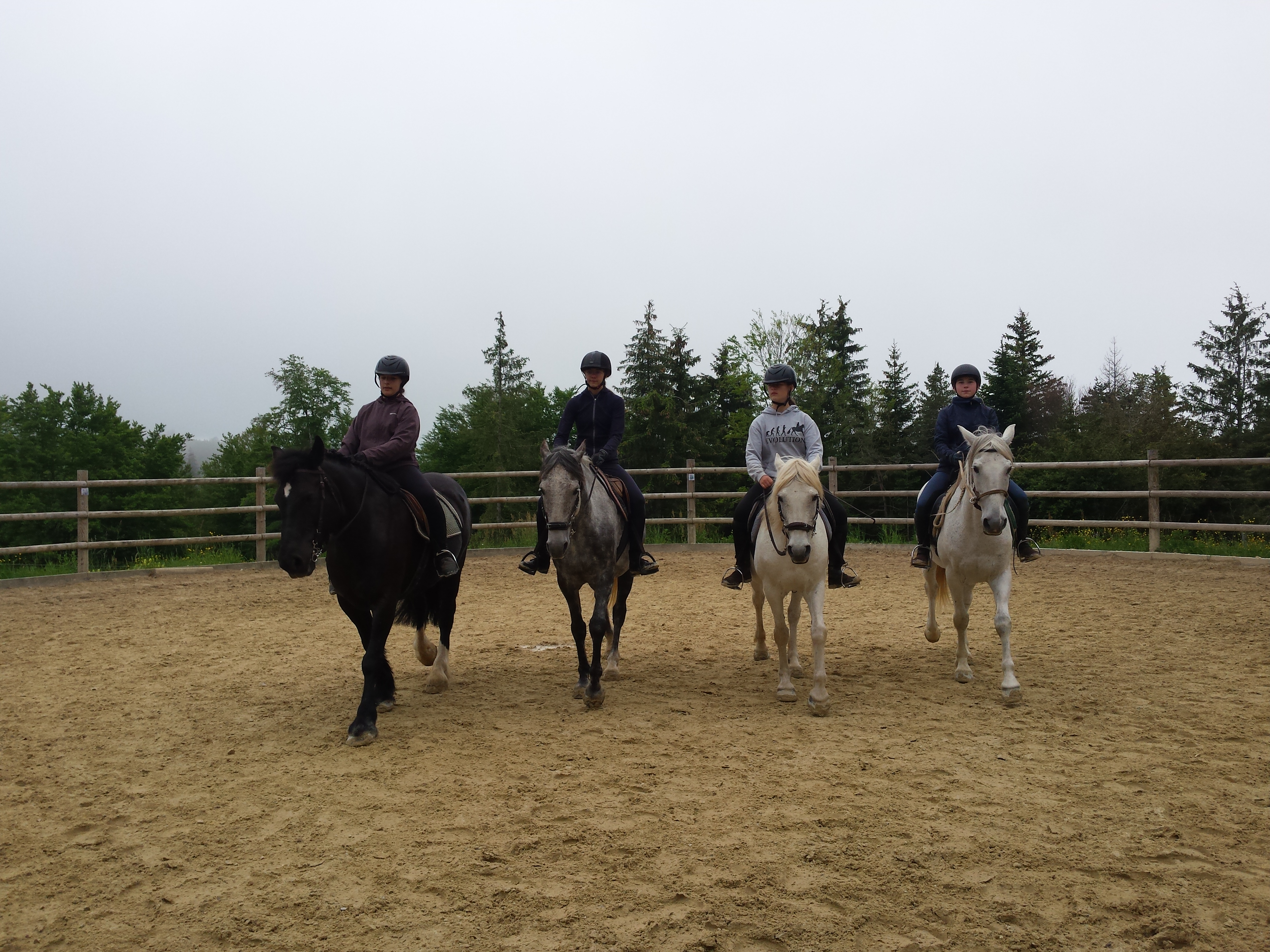Cours d'équitation à la Ferme du Souillet - Vassieux en Vercors