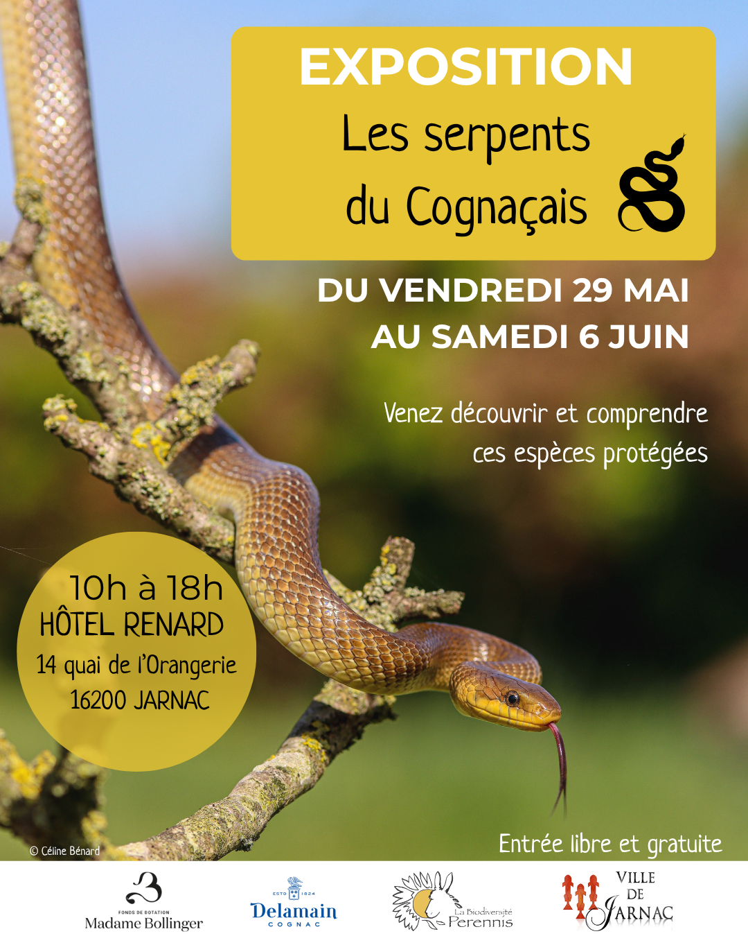 Exposition sur les serpents du Cognaçais