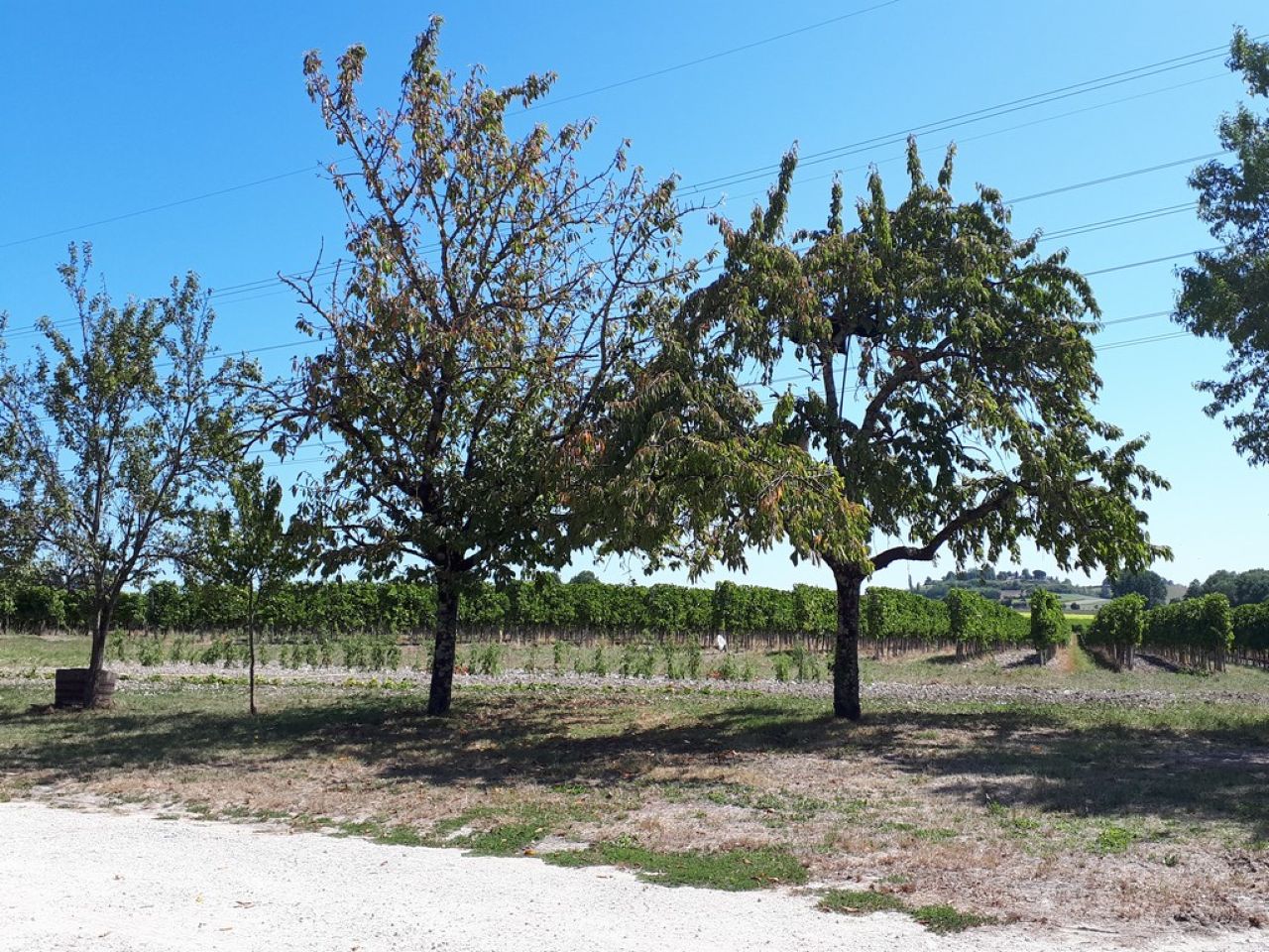 Aire camping-cars - Jean-Luc Bossis