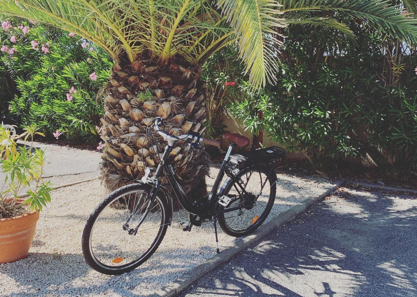 1 Véloc Camargue - Location de vélos