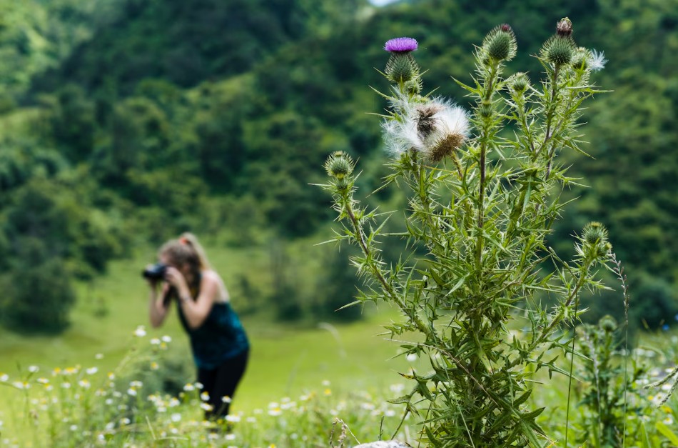 balade avec plantes
