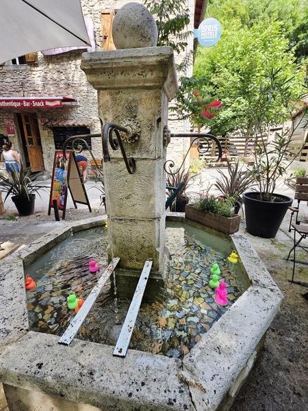 La pêche aux canards