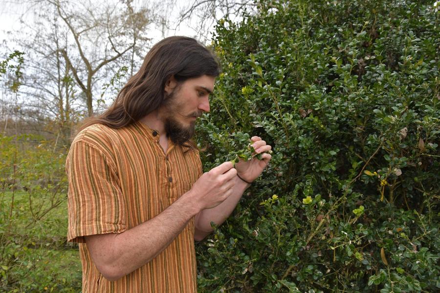 Atelier cueillette et cuisine sauvage : une journée nature et gourmande_Arcon