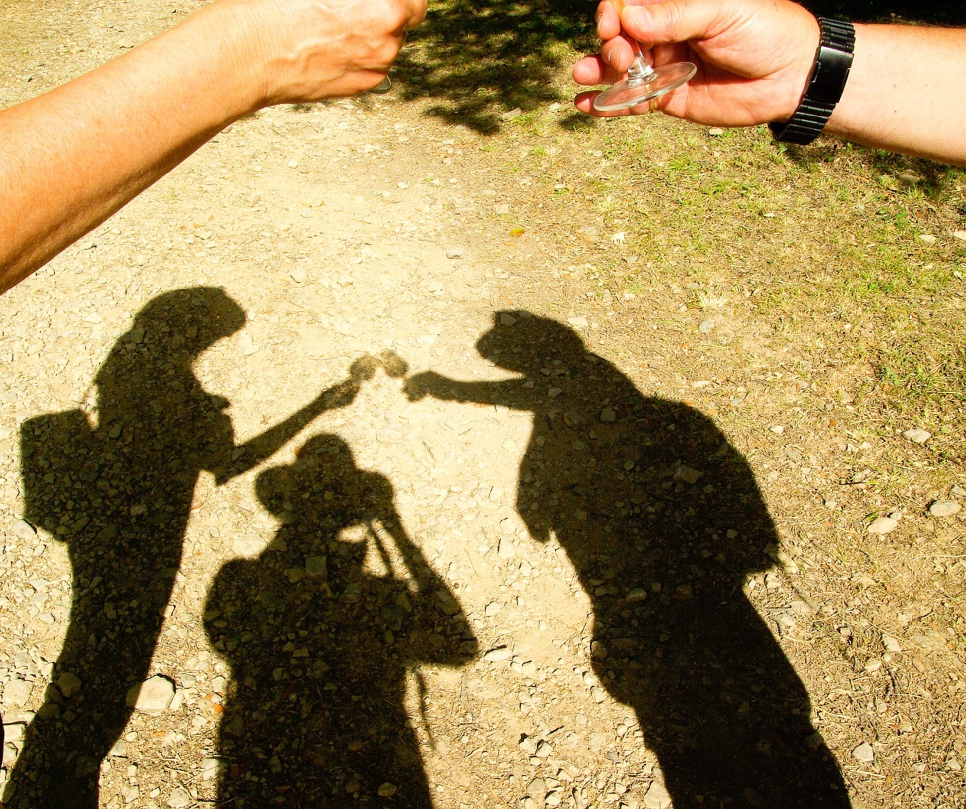 shadows of people toasting