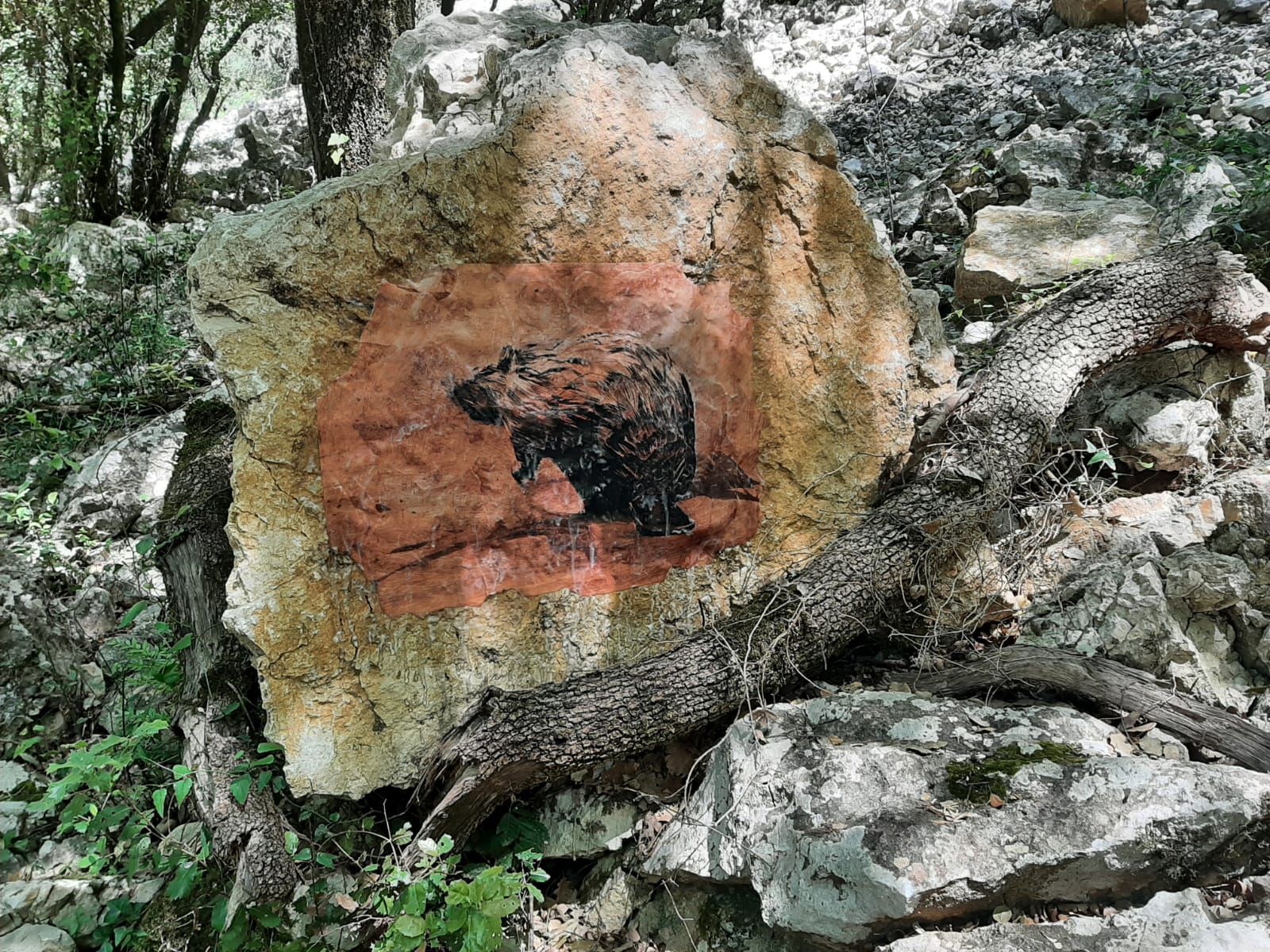 Exposition : L’esprit des Gorges de l'Ardèche