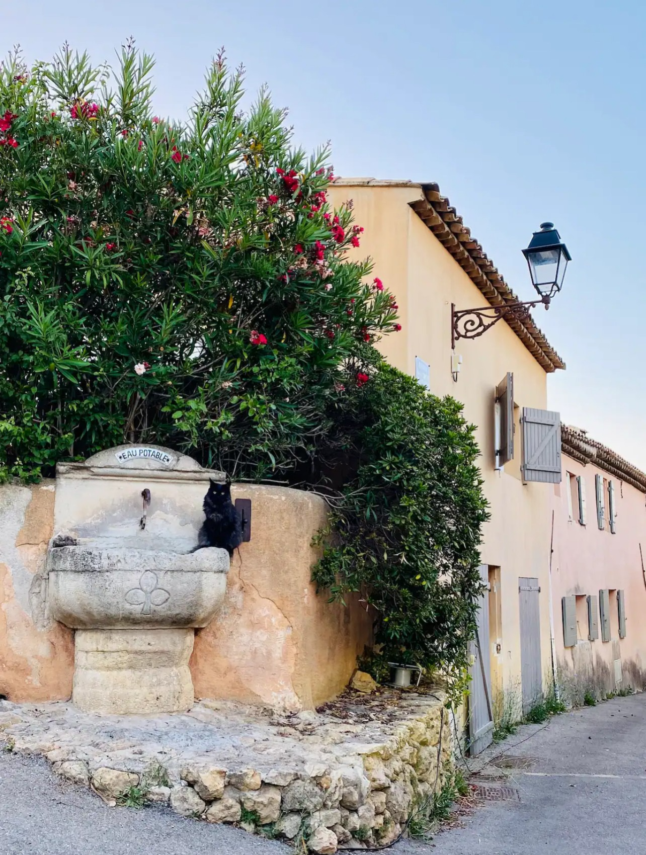 La Glycine, Saint-Marc-Jaumegarde - photo 6