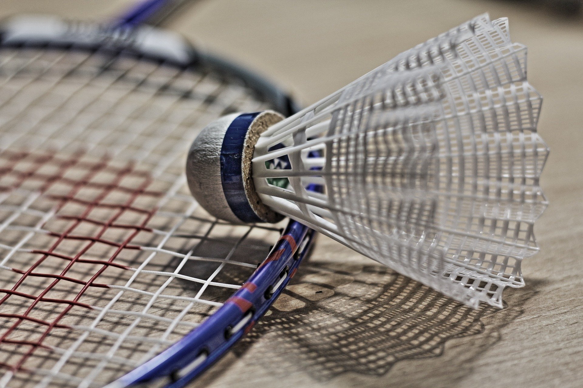 Salle Omnisports | Badminton