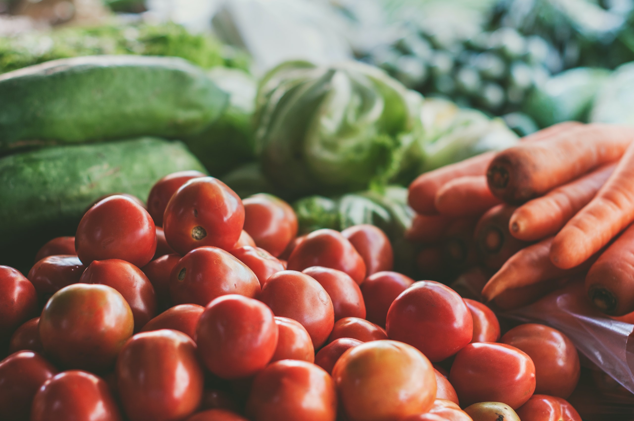 Les producteurs en Méditerranée Porte des Maures