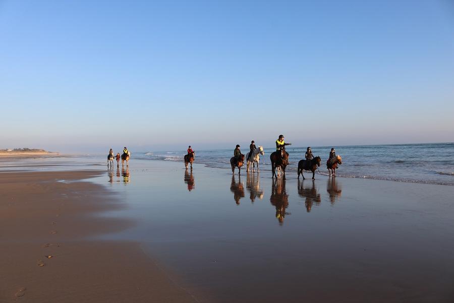 Balade équestre de 2h sur la plage par les écuries du Moulin Moreau