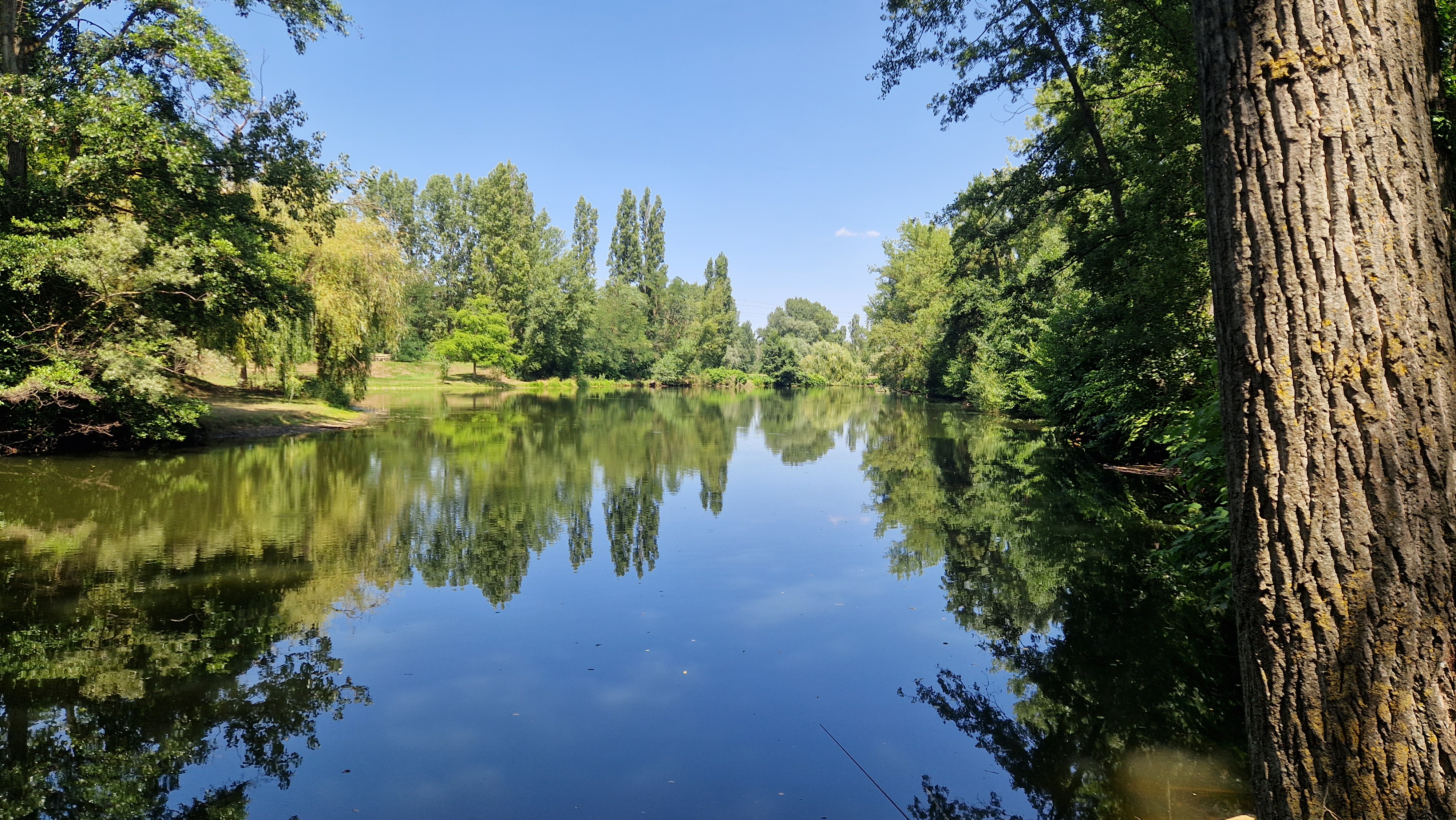 Etang de Civrieux : pêche