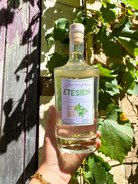 Liqueur de pistachier lentisque : ÉTÉSIEN.