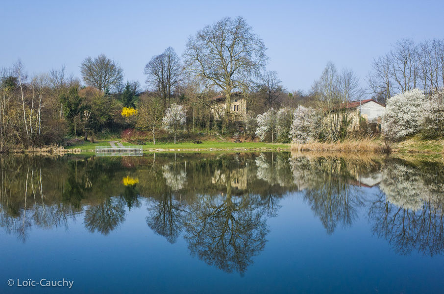 Balade en calèches en CAPI
