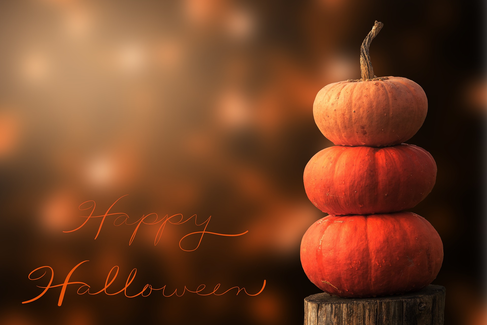 Spectacle - concert Halloween